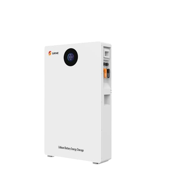 image - 2026-07-22T165521.260-Photoroom SRNE 2.56kWh 25.6V 100Ah Lithium (LiFePO₄) Battery - Image 1